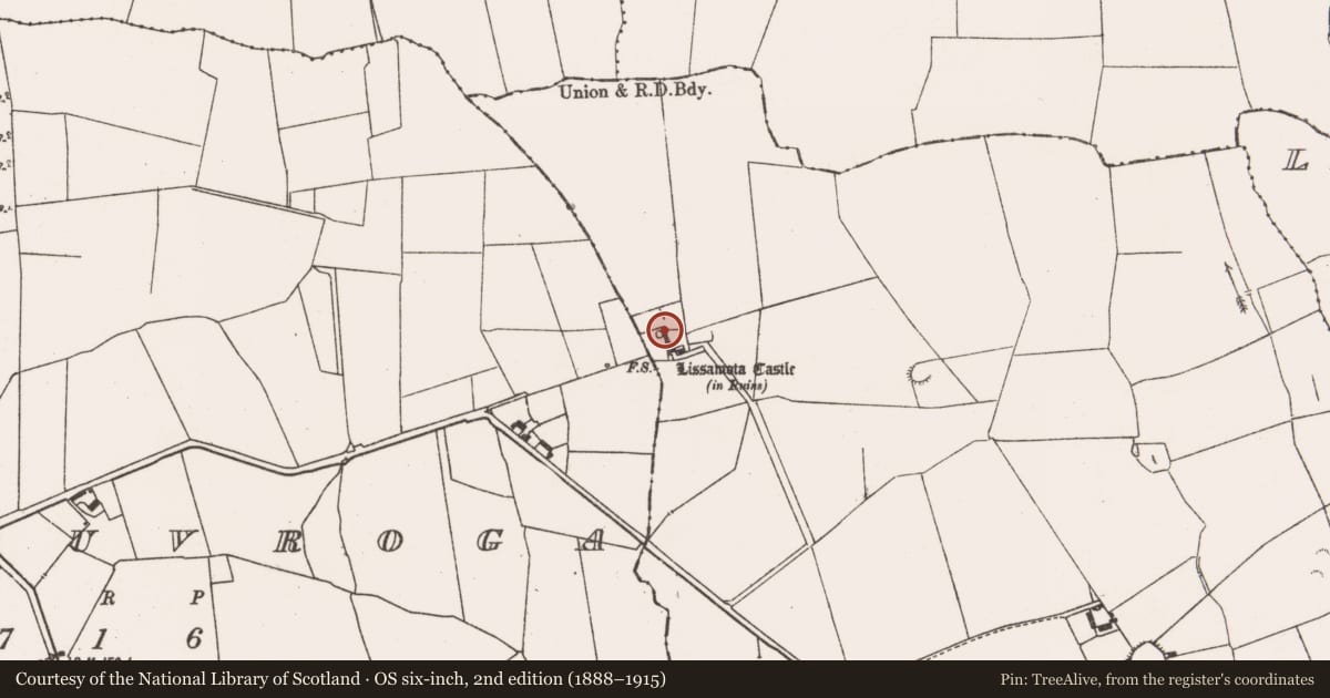 Ordnance Survey six-inch map, 2nd edition (1888–1915) covering the location of Earthwork, Lissamota, County Limerick, with a pin at the register's coordinates