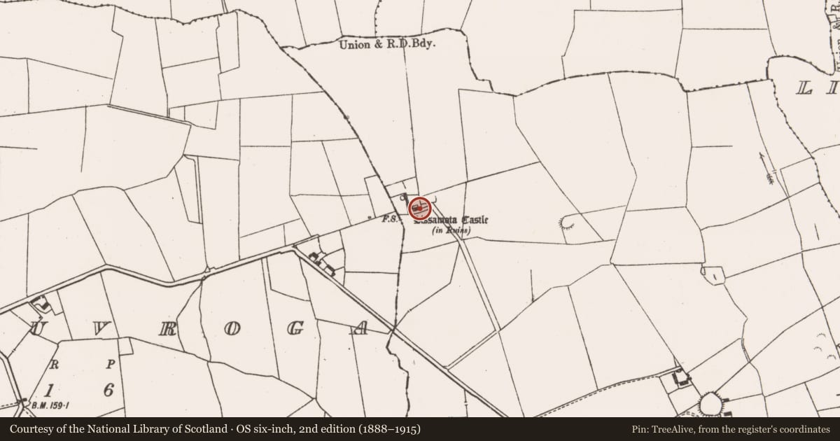 Ordnance Survey six-inch map, 2nd edition (1888–1915) covering the location of Bawn, Lissamota, County Limerick, with a pin at the register's coordinates
