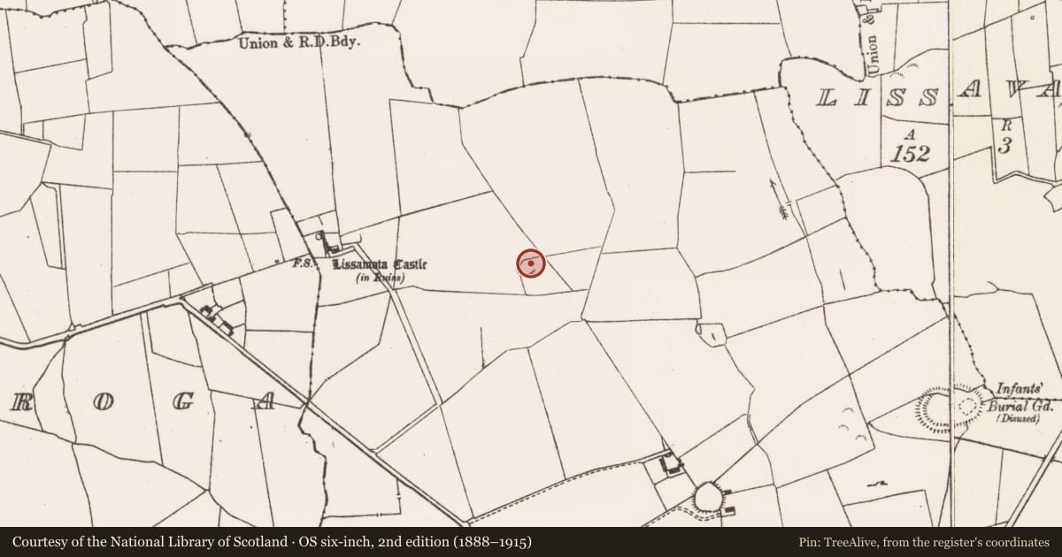 Ordnance Survey six-inch map, 2nd edition (1888–1915) covering the location of Ringfort - rath, Lissamota, County Limerick, with a pin at the register's coordinates