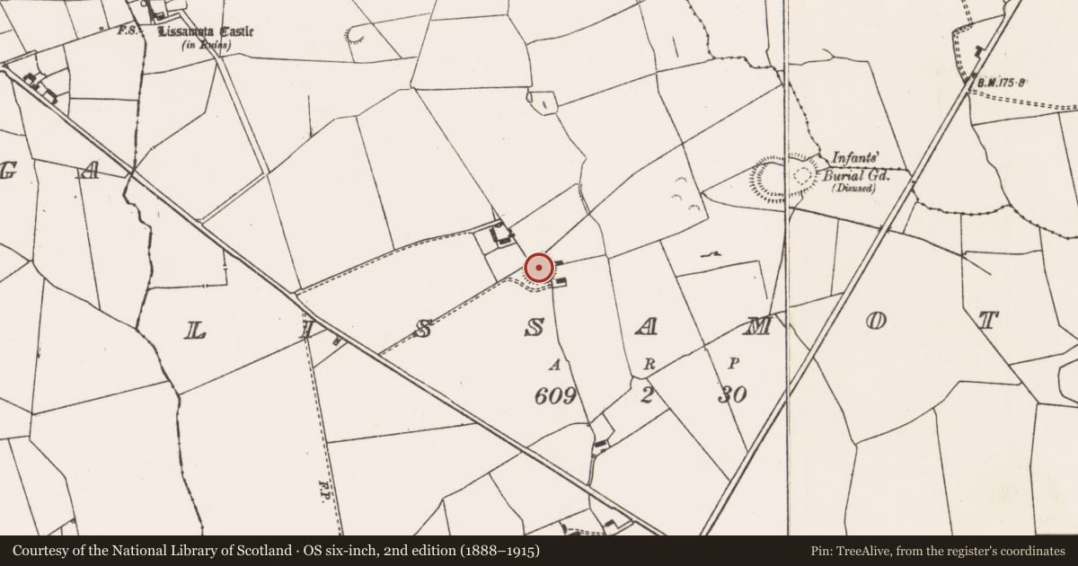 Ordnance Survey six-inch map, 2nd edition (1888–1915) covering the location of Ringfort - rath, Lissamota, County Limerick, with a pin at the register's coordinates