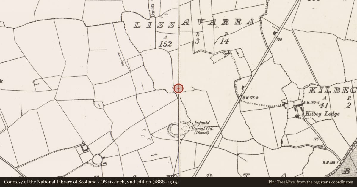 Ordnance Survey six-inch map, 2nd edition (1888–1915) covering the location of Ringfort - unclassified, Lissavarra, County Limerick, with a pin at the register's coordinates