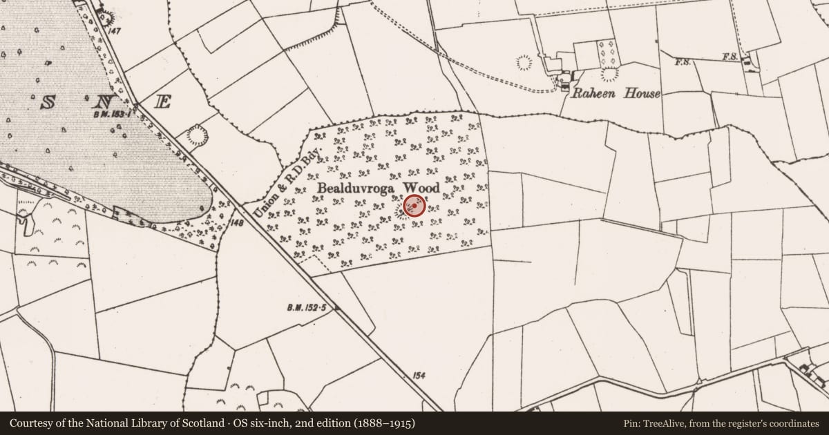 Ordnance Survey six-inch map, 2nd edition (1888–1915) covering the location of Ringfort - rath, Bealduvroga, County Limerick, with a pin at the register's coordinates