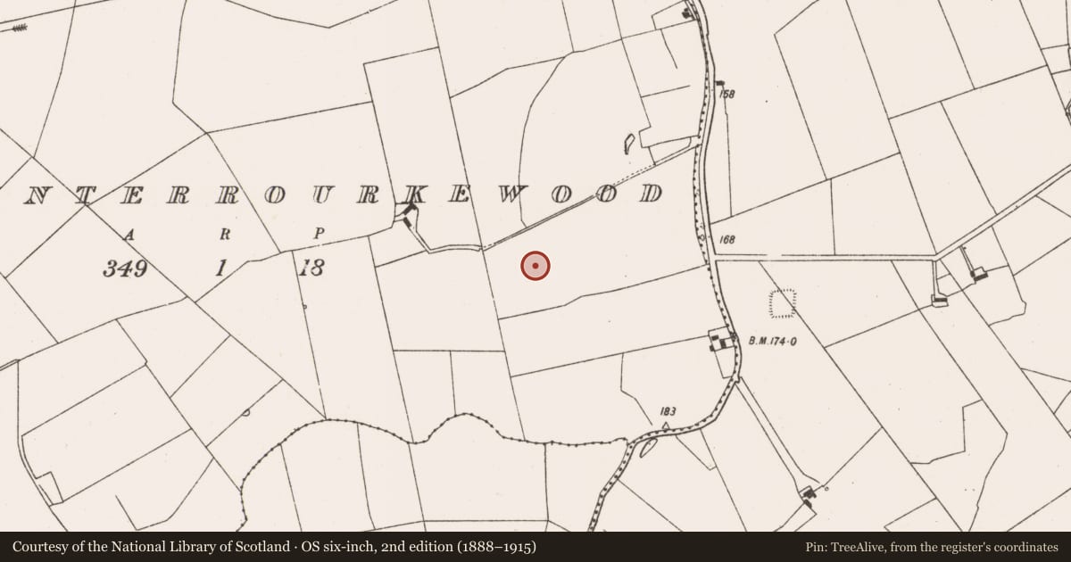 Ordnance Survey six-inch map, 2nd edition (1888–1915) covering the location of Ringfort - rath, Ballywinterrourkewood, County Limerick, with a pin at the register's coordinates