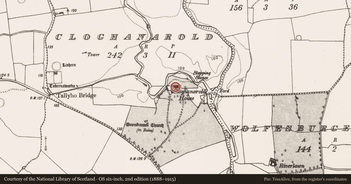 Ordnance Survey six-inch map, 2nd edition (1888–1915) covering the location of Castle - unclassified, Cloghanarold, County Limerick, with a pin at the register's coordinates