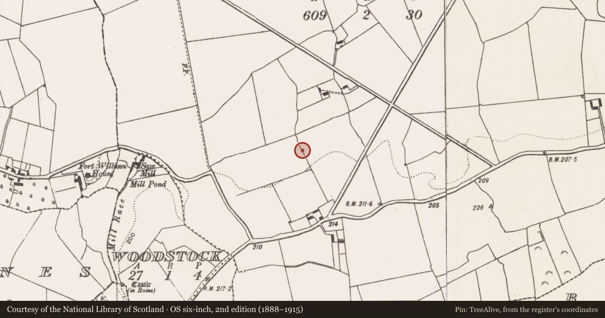 Ordnance Survey six-inch map, 2nd edition (1888–1915) covering the location of Ringfort - rath, Lissamota, County Limerick, with a pin at the register's coordinates