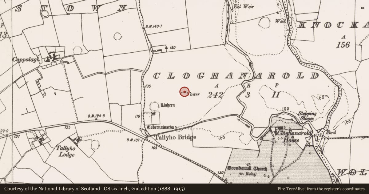 Ordnance Survey six-inch map, 2nd edition (1888–1915) covering the location of Kiln - lime, Cloghanarold, County Limerick, with a pin at the register's coordinates