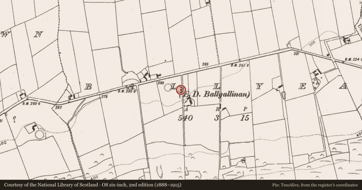 Ordnance Survey six-inch map, 2nd edition (1888–1915) covering the location of Ringfort - rath, Ballyea, County Limerick, with a pin at the register's coordinates