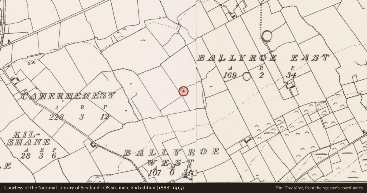 Ordnance Survey six-inch map, 2nd edition (1888–1915) covering the location of Ringfort - rath, Ballyroe West, County Limerick, with a pin at the register's coordinates