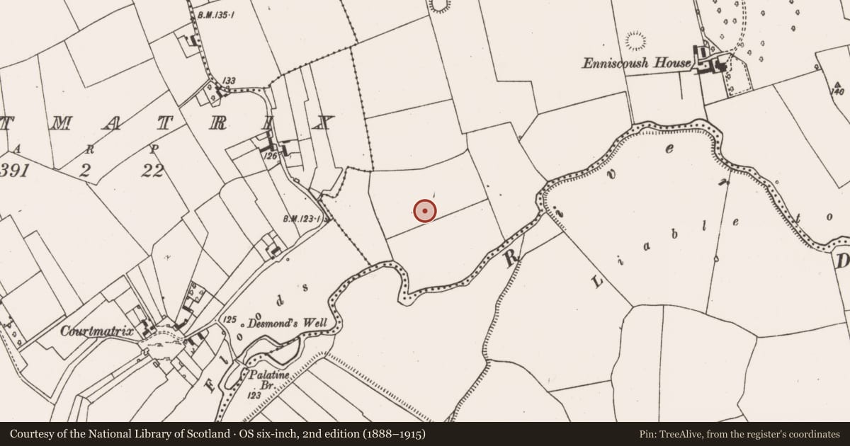 Ordnance Survey six-inch map, 2nd edition (1888–1915) covering the location of Barrow - ring-barrow, Enniscoush, County Limerick, with a pin at the register's coordinates