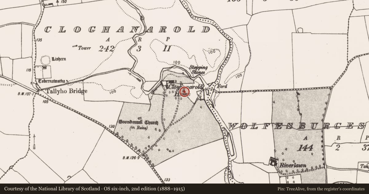 Ordnance Survey six-inch map, 2nd edition (1888–1915) covering the location of Souterrain, Cloghanarold, County Limerick, with a pin at the register's coordinates
