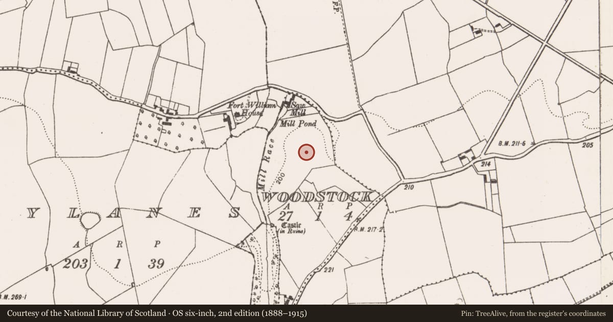 Ordnance Survey six-inch map, 2nd edition (1888–1915) covering the location of Moated site, Woodstock, County Limerick, with a pin at the register's coordinates
