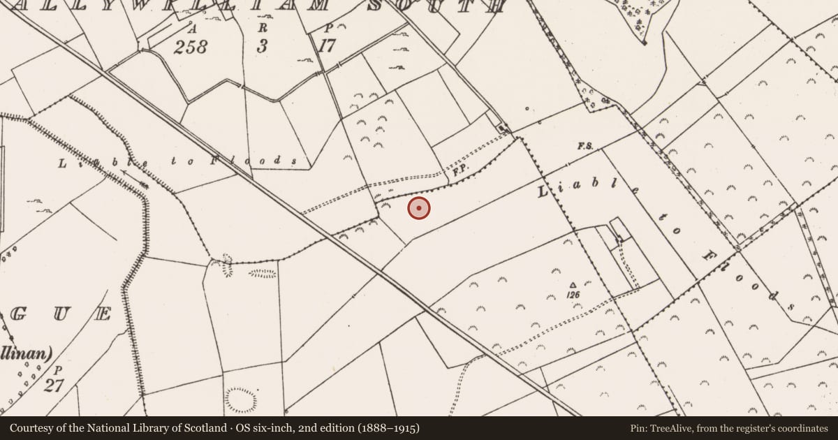 Ordnance Survey six-inch map, 2nd edition (1888–1915) covering the location of Enclosure, Ballywilliam South, County Limerick, with a pin at the register's coordinates