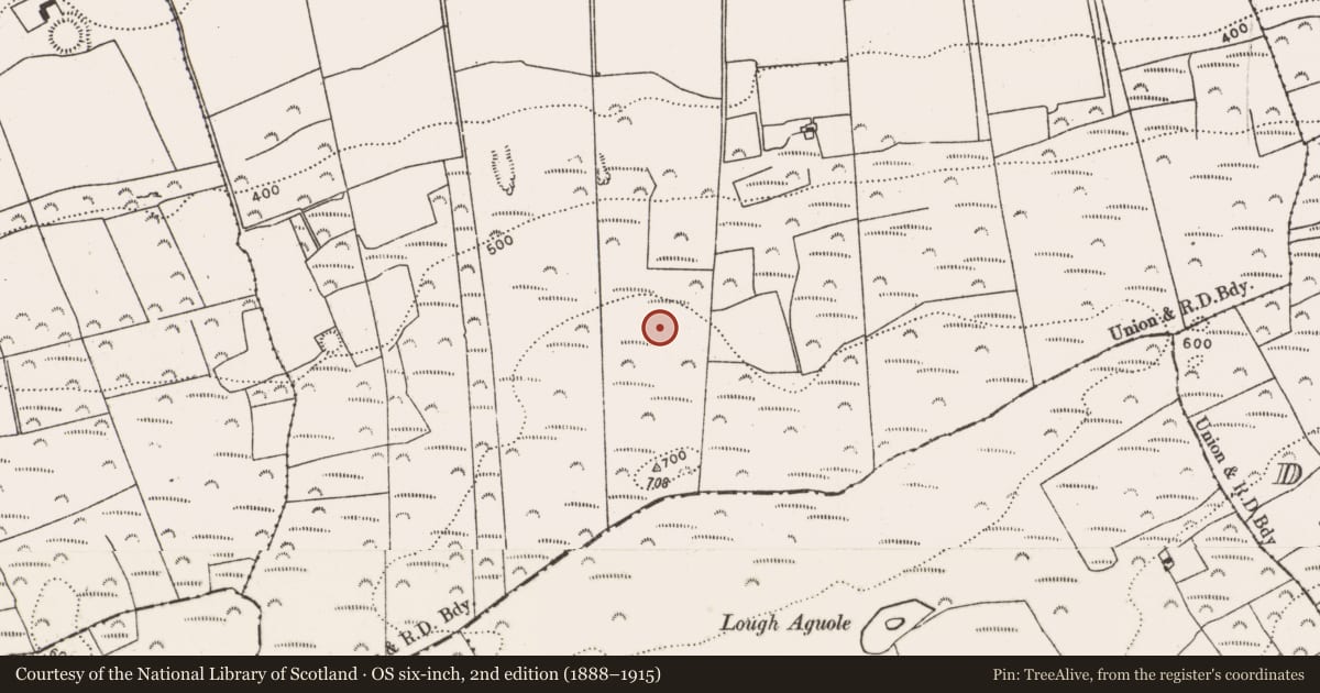 Ordnance Survey six-inch map, 2nd edition (1888–1915) covering the location of Ringfort - rath, Ballyea, County Limerick, with a pin at the register's coordinates