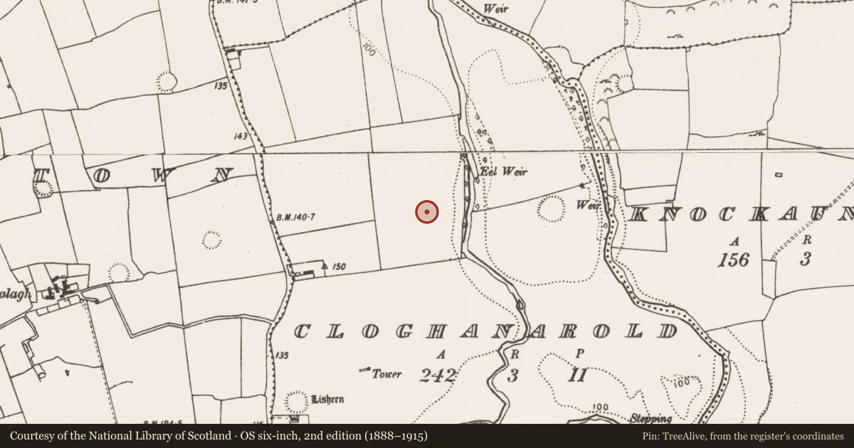 Ordnance Survey six-inch map, 2nd edition (1888–1915) covering the location of Field system, Cloghanarold, County Limerick, with a pin at the register's coordinates
