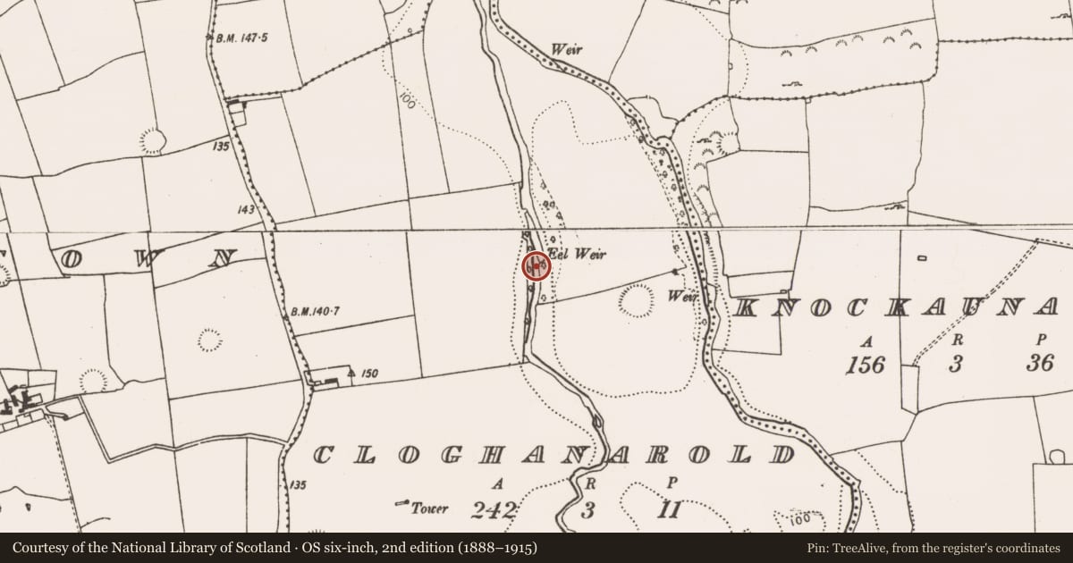Ordnance Survey six-inch map, 2nd edition (1888–1915) covering the location of Weir - fish, Cloghanarold, County Limerick, with a pin at the register's coordinates