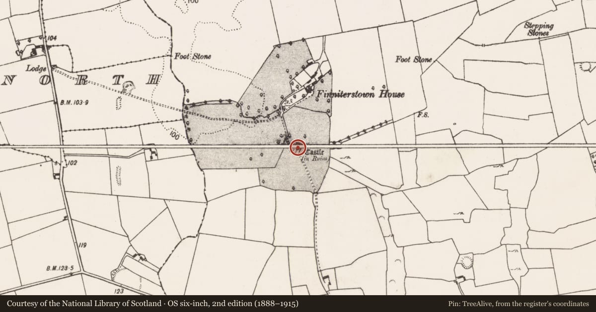Ordnance Survey six-inch map, 2nd edition (1888–1915) covering the location of Castle - tower house, Finniterstown, County Limerick, with a pin at the register's coordinates