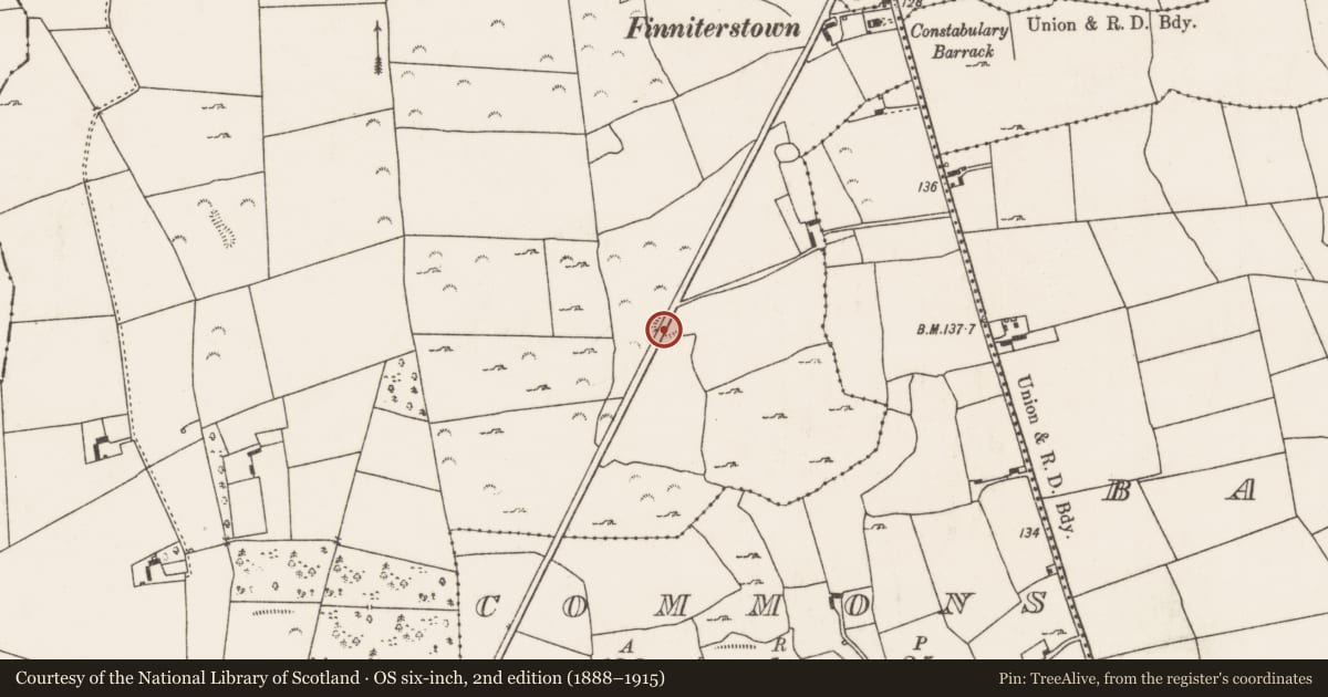 Ordnance Survey six-inch map, 2nd edition (1888–1915) covering the location of Ringfort - rath, Finniterstown, County Limerick, with a pin at the register's coordinates