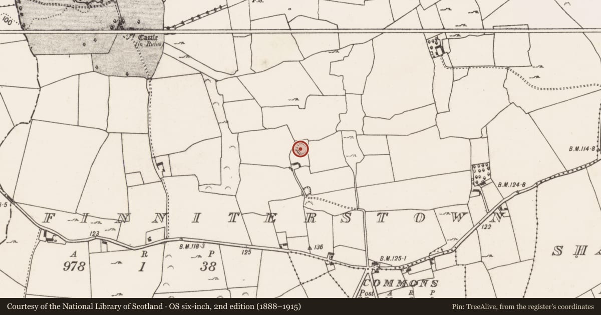 Ordnance Survey six-inch map, 2nd edition (1888–1915) covering the location of Ringfort - rath, Finniterstown, County Limerick, with a pin at the register's coordinates