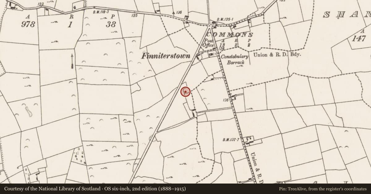 Ordnance Survey six-inch map, 2nd edition (1888–1915) covering the location of Ringfort - rath, Finniterstown, County Limerick, with a pin at the register's coordinates