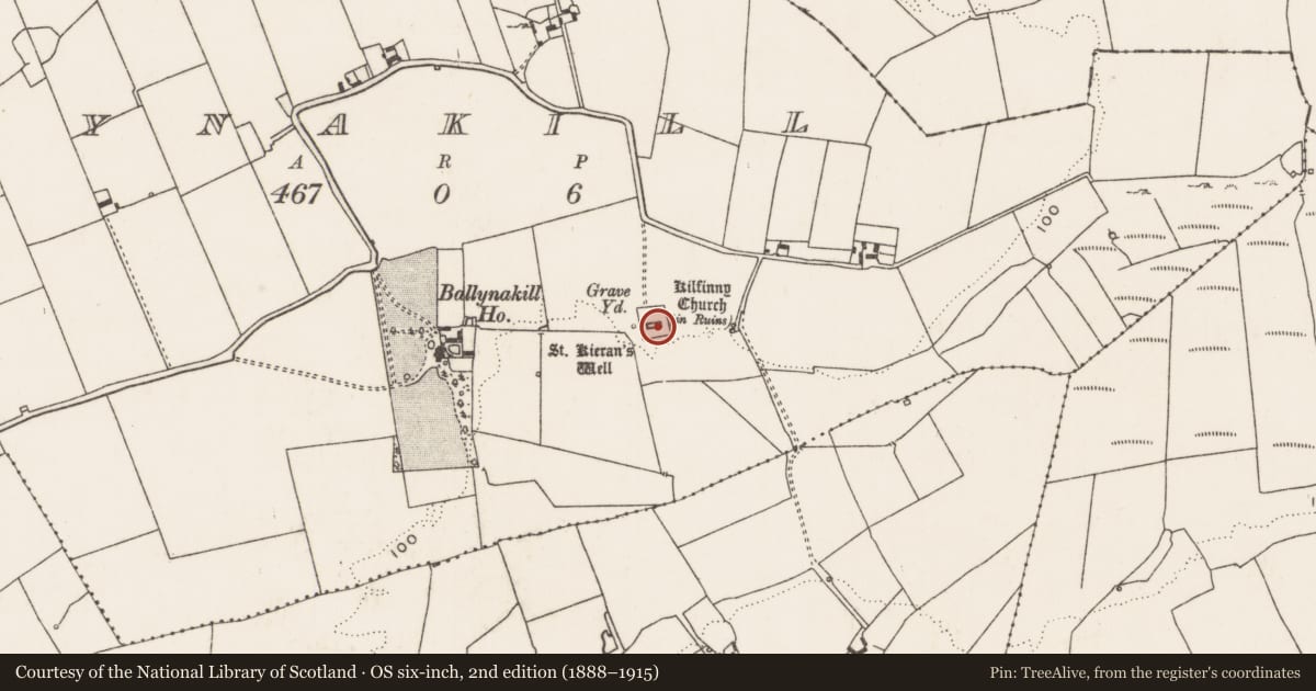 Ordnance Survey six-inch map, 2nd edition (1888–1915) covering the location of Church, Ballynakill, County Limerick, with a pin at the register's coordinates