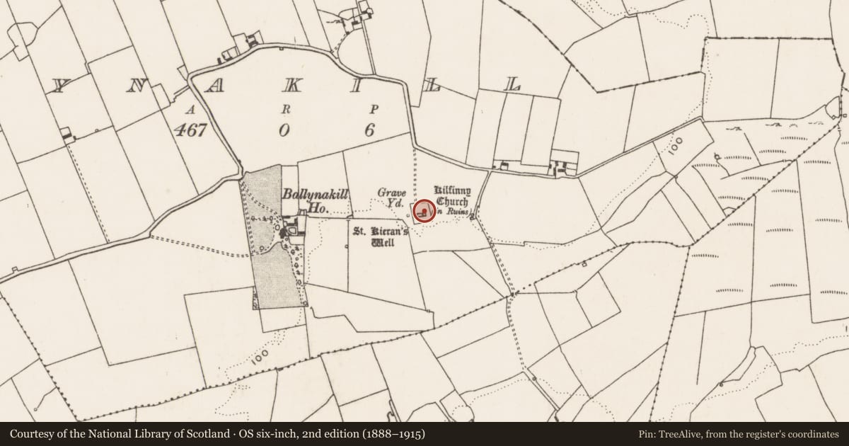 Ordnance Survey six-inch map, 2nd edition (1888–1915) covering the location of Graveyard, Ballynakill, County Limerick, with a pin at the register's coordinates