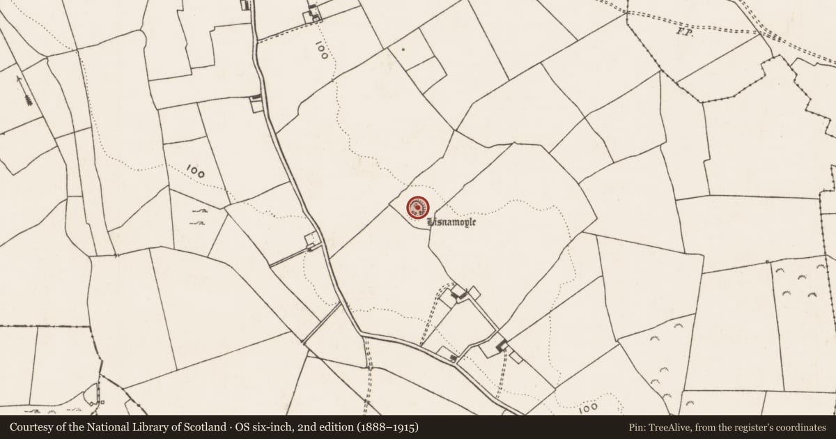 Ordnance Survey six-inch map, 2nd edition (1888–1915) covering the location of Ringfort - rath, Dunnaman, County Limerick, with a pin at the register's coordinates
