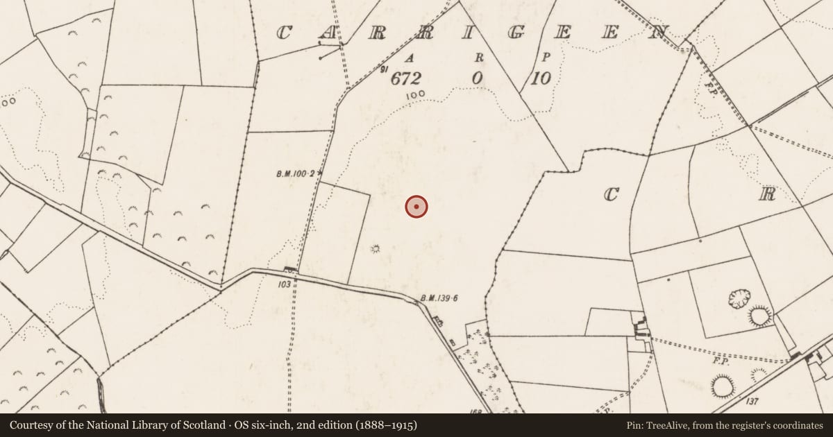 Ordnance Survey six-inch map, 2nd edition (1888–1915) covering the location of Standing stone, Carrigeen, County Limerick, with a pin at the register's coordinates