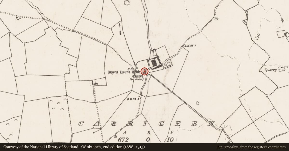Ordnance Survey six-inch map, 2nd edition (1888–1915) covering the location of Ecclesiastical enclosure, Carrigeen, County Limerick, with a pin at the register's coordinates