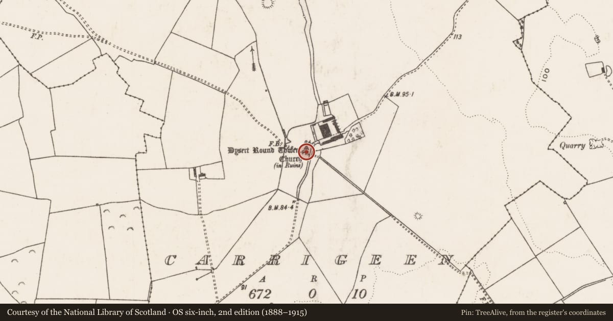 Ordnance Survey six-inch map, 2nd edition (1888–1915) covering the location of Church, Carrigeen, County Limerick, with a pin at the register's coordinates