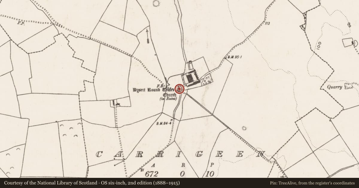Ordnance Survey six-inch map, 2nd edition (1888–1915) covering the location of Round tower, Carrigeen, County Limerick, with a pin at the register's coordinates