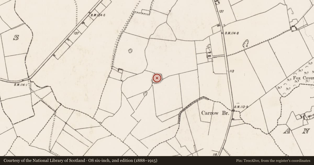 Ordnance Survey six-inch map, 2nd edition (1888–1915) covering the location of Ringfort - rath, Croom, County Limerick, with a pin at the register's coordinates
