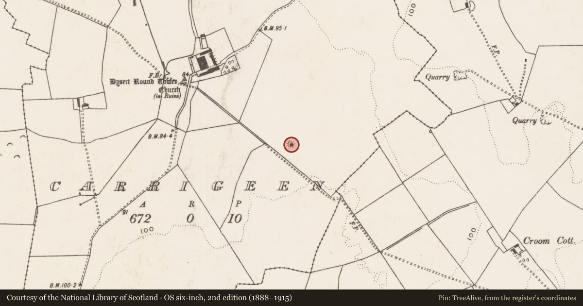 Ordnance Survey six-inch map, 2nd edition (1888–1915) covering the location of Burial mound, Carrigeen, County Limerick, with a pin at the register's coordinates