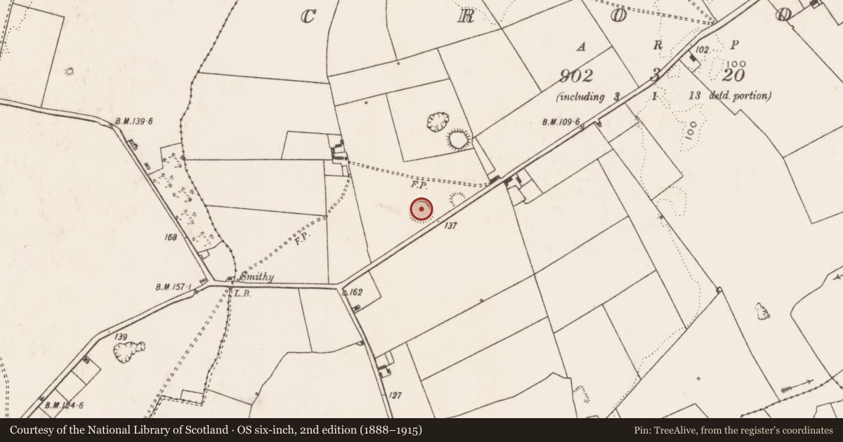 Ordnance Survey six-inch map, 2nd edition (1888–1915) covering the location of Ringfort - rath, Croom, County Limerick, with a pin at the register's coordinates