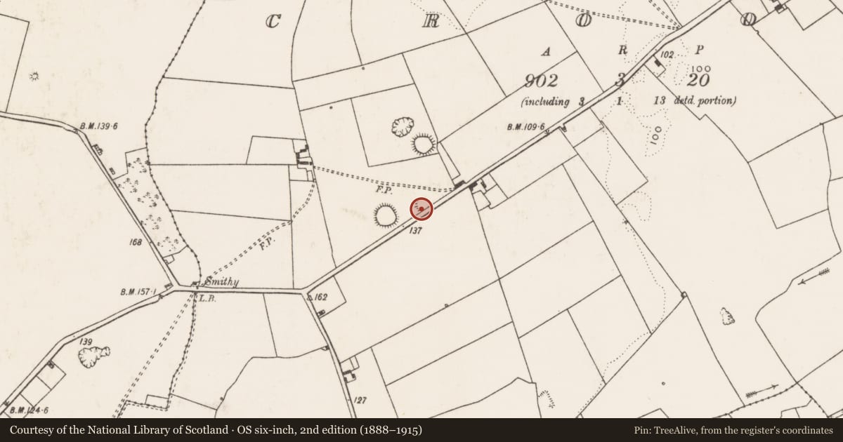Ordnance Survey six-inch map, 2nd edition (1888–1915) covering the location of Ringfort - rath, Croom, County Limerick, with a pin at the register's coordinates