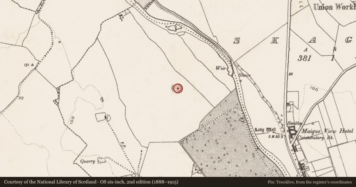 Ordnance Survey six-inch map, 2nd edition (1888–1915) covering the location of Enclosure, Croom, County Limerick, with a pin at the register's coordinates