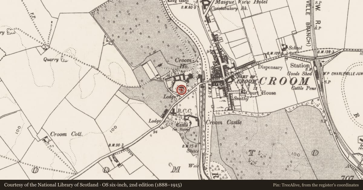 Ordnance Survey six-inch map, 2nd edition (1888–1915) covering the location of Graveyard, Croom, County Limerick, with a pin at the register's coordinates