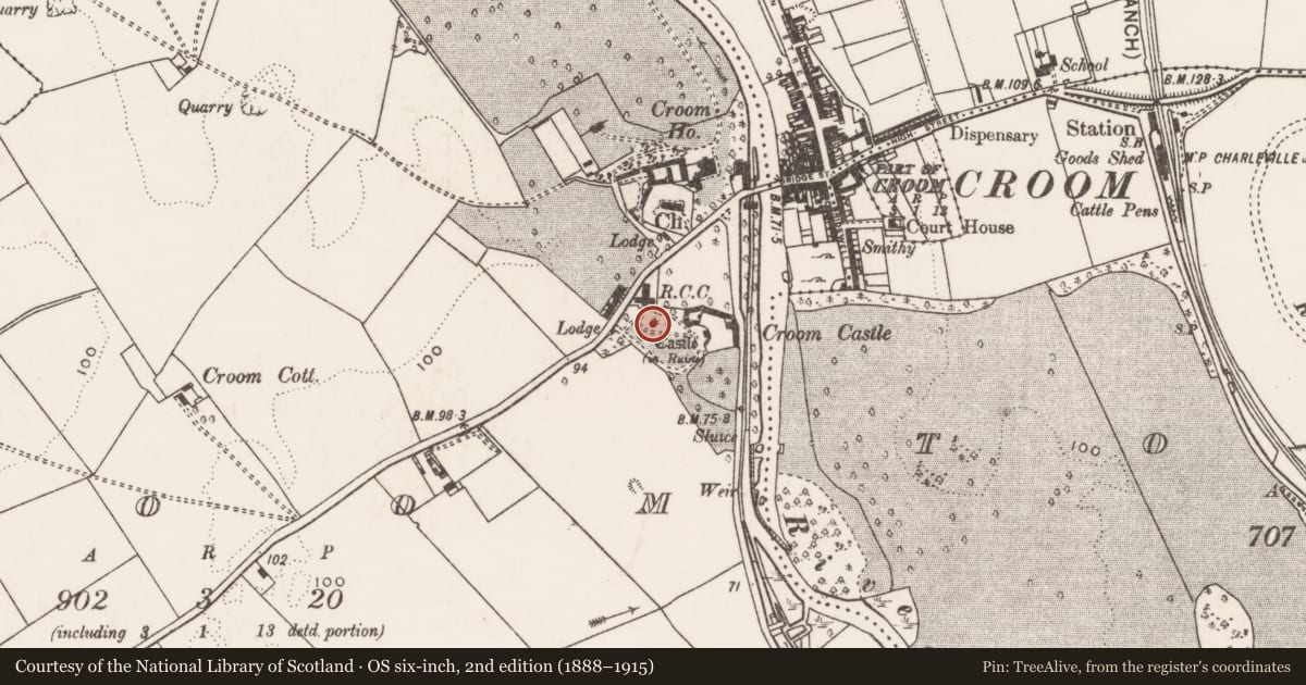 Ordnance Survey six-inch map, 2nd edition (1888–1915) covering the location of Font (present location), Croom, County Limerick, with a pin at the register's coordinates