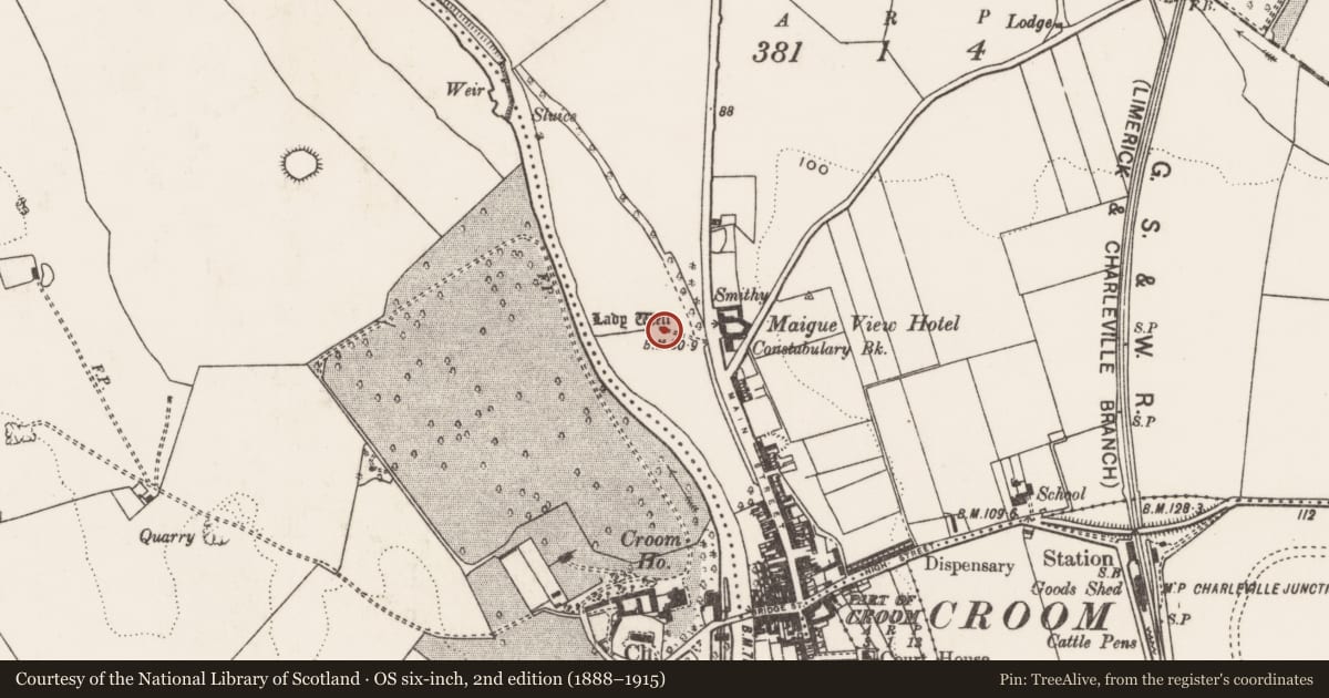 Ordnance Survey six-inch map, 2nd edition (1888–1915) covering the location of Ritual site - holy well, Skagh, County Limerick, with a pin at the register's coordinates