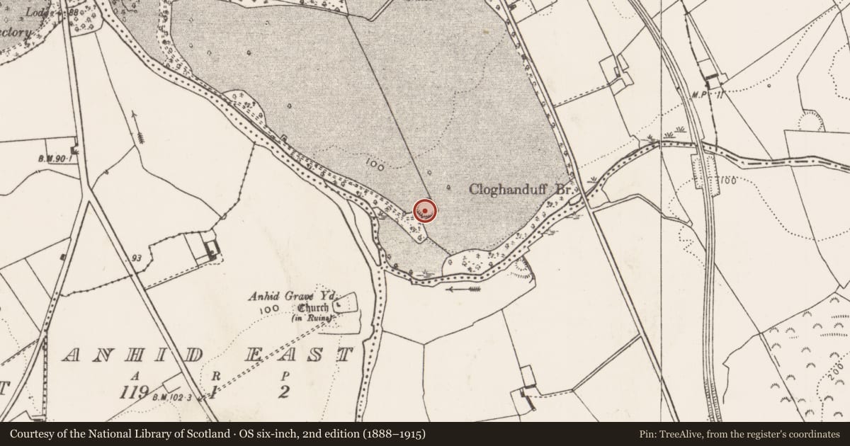Ordnance Survey six-inch map, 2nd edition (1888–1915) covering the location of Ringfort - rath, Tooreen, County Limerick, with a pin at the register's coordinates