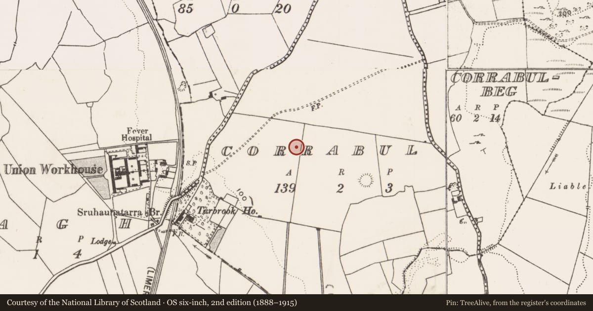 Ordnance Survey six-inch map, 2nd edition (1888–1915) covering the location of Ringfort - rath, Corrabul, County Limerick, with a pin at the register's coordinates