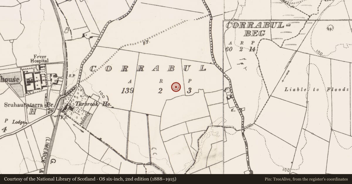 Ordnance Survey six-inch map, 2nd edition (1888–1915) covering the location of Ringfort - rath, Corrabul, County Limerick, with a pin at the register's coordinates