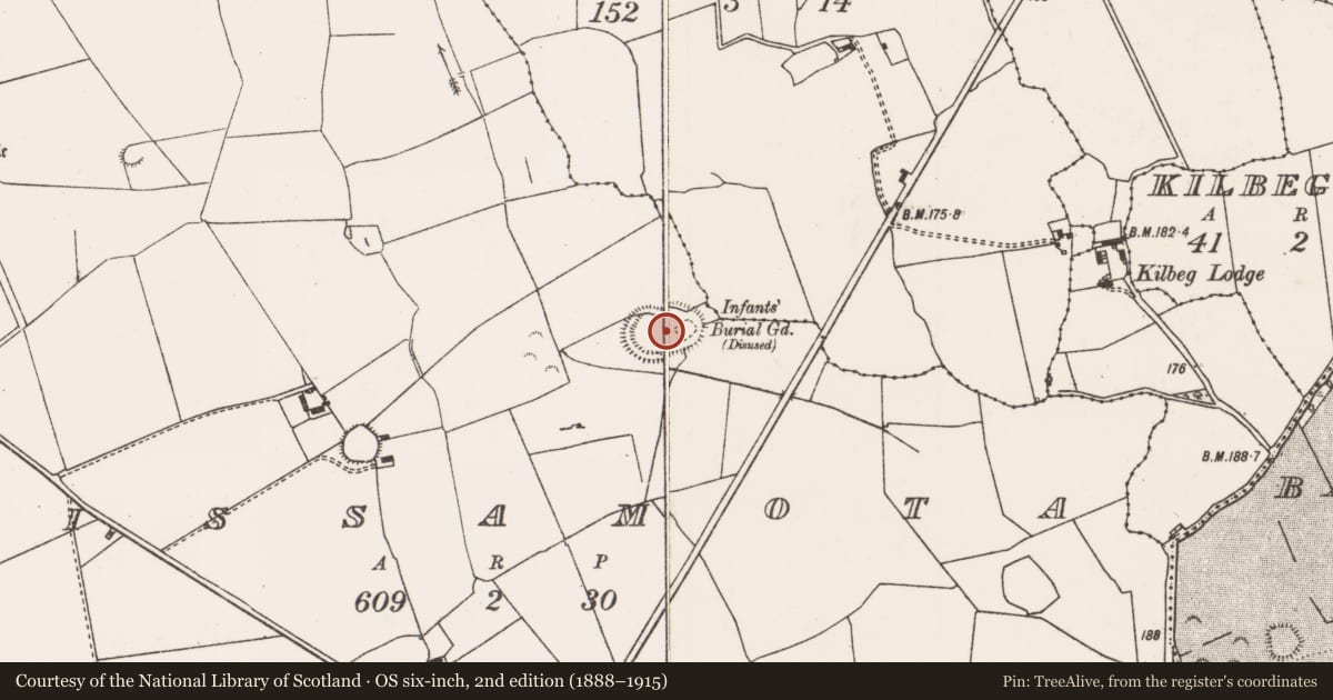 Ordnance Survey six-inch map, 2nd edition (1888–1915) covering the location of Enclosure, Lissamota, County Limerick, with a pin at the register's coordinates