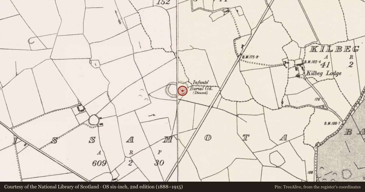 Ordnance Survey six-inch map, 2nd edition (1888–1915) covering the location of Children's burial ground, Lissamota, County Limerick, with a pin at the register's coordinates