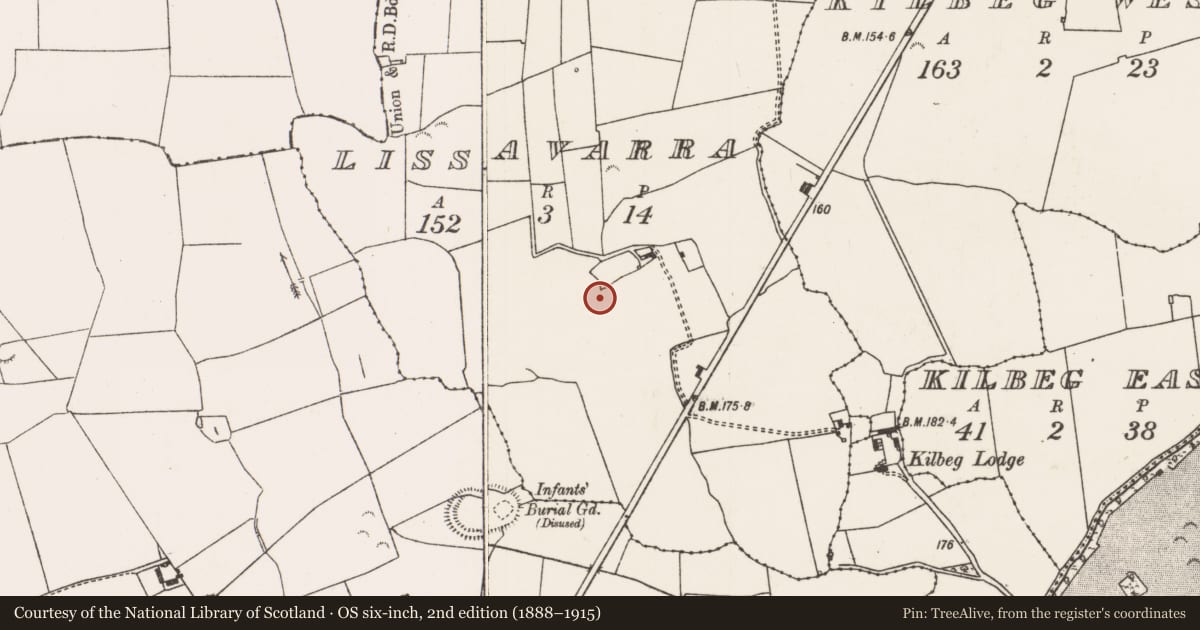 Ordnance Survey six-inch map, 2nd edition (1888–1915) covering the location of Ringfort - rath, Lissavarra, County Limerick, with a pin at the register's coordinates