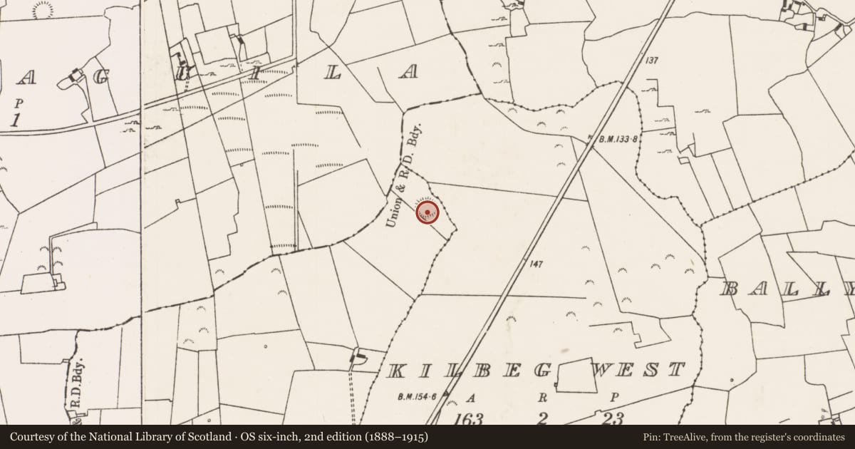 Ordnance Survey six-inch map, 2nd edition (1888–1915) covering the location of Ringfort - rath, Lissavarra, County Limerick, with a pin at the register's coordinates