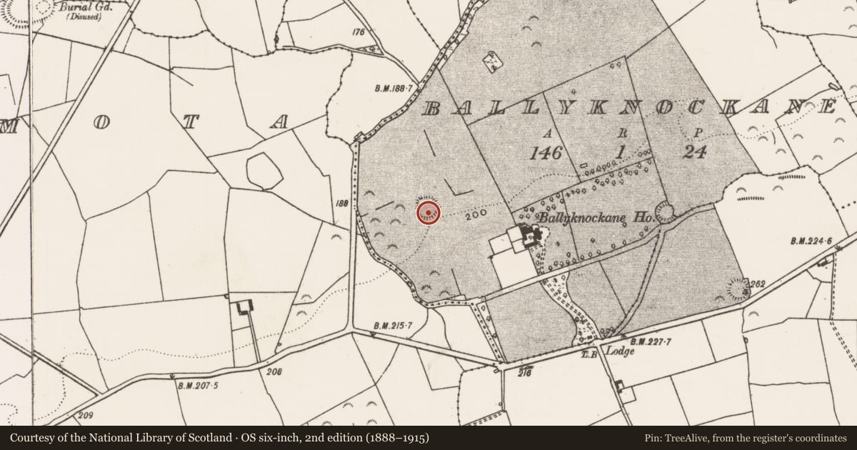 Ordnance Survey six-inch map, 2nd edition (1888–1915) covering the location of Ringfort - rath, Ballyknockane, County Limerick, with a pin at the register's coordinates