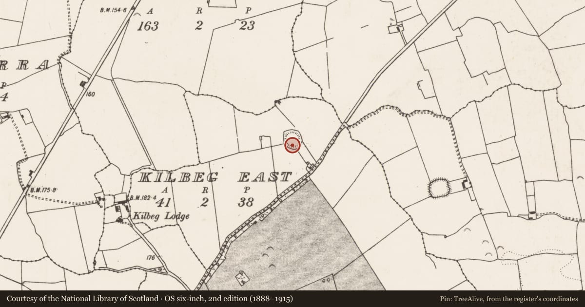 Ordnance Survey six-inch map, 2nd edition (1888–1915) covering the location of Ringfort - rath, Kilbeg East, County Limerick, with a pin at the register's coordinates