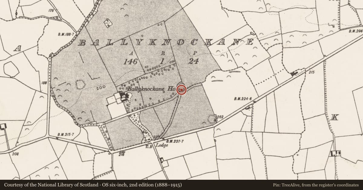 Ordnance Survey six-inch map, 2nd edition (1888–1915) covering the location of Ringfort - rath, Ballyknockane, County Limerick, with a pin at the register's coordinates