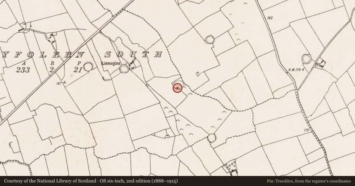 Ordnance Survey six-inch map, 2nd edition (1888–1915) covering the location of Ringfort - rath, Ballyfoleen South, County Limerick, with a pin at the register's coordinates