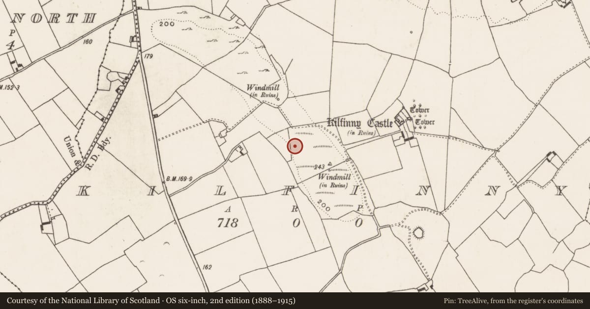 Ordnance Survey six-inch map, 2nd edition (1888–1915) covering the location of Ringfort - rath, Kilfinny, County Limerick, with a pin at the register's coordinates